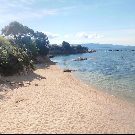 Appartement Magnifique T2 Ajaccio à Ajaccio  Extérieur photo